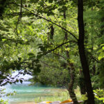 Una glamping