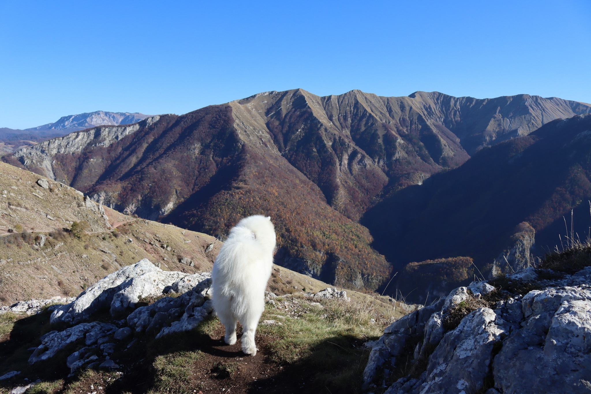 Lukomir nad kanionem